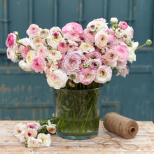 Load image into Gallery viewer, Ranunculus PPF
