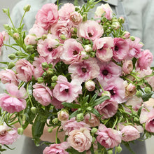 Load image into Gallery viewer, Ranunculus PPF
